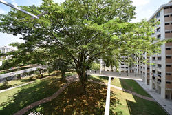 Blk 610 Ang Mo Kio Avenue 4 (Ang Mo Kio), HDB 3 Rooms #117202882